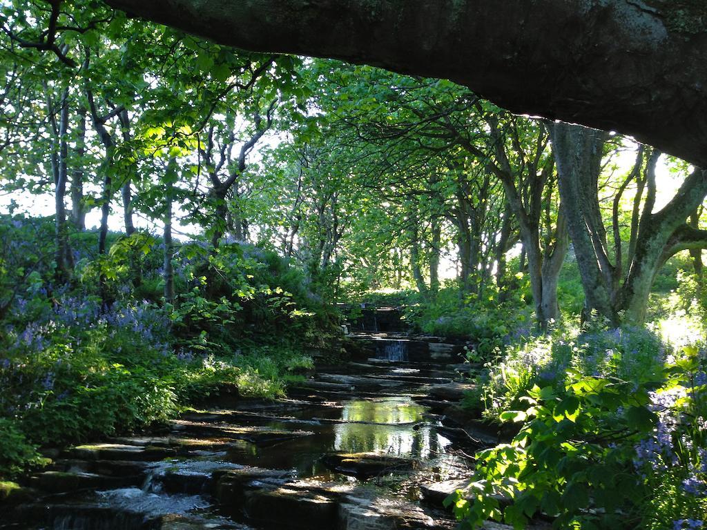Woodwick House Bed & Breakfast Orkney Luaran gambar