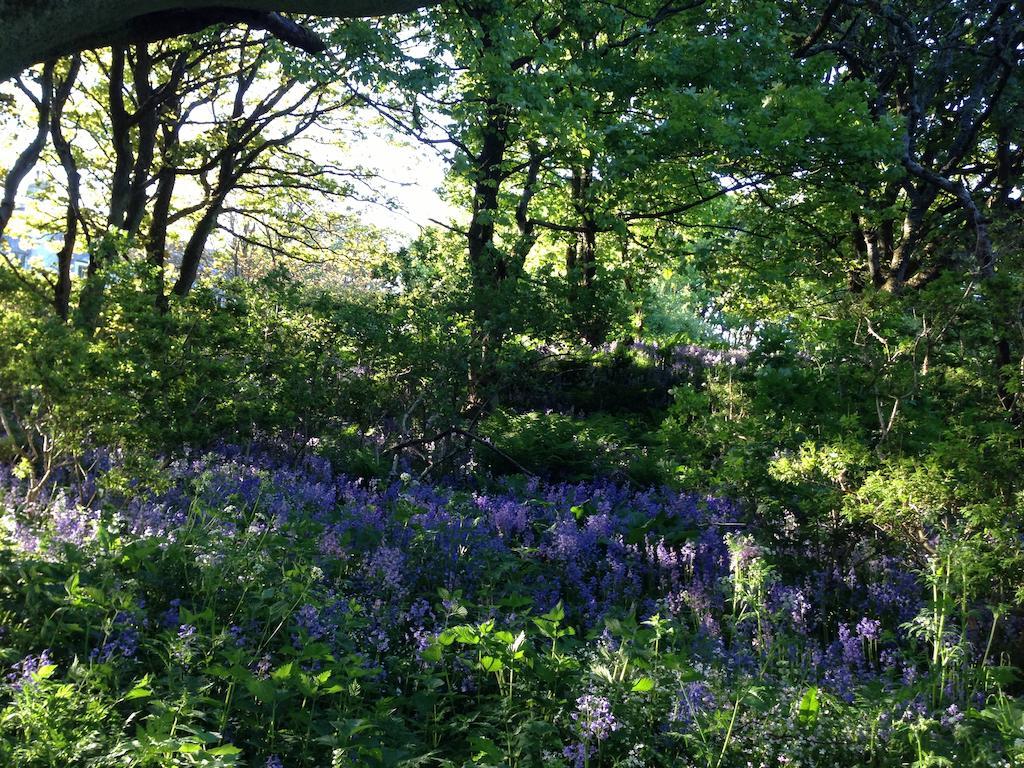Woodwick House Bed & Breakfast Orkney Luaran gambar