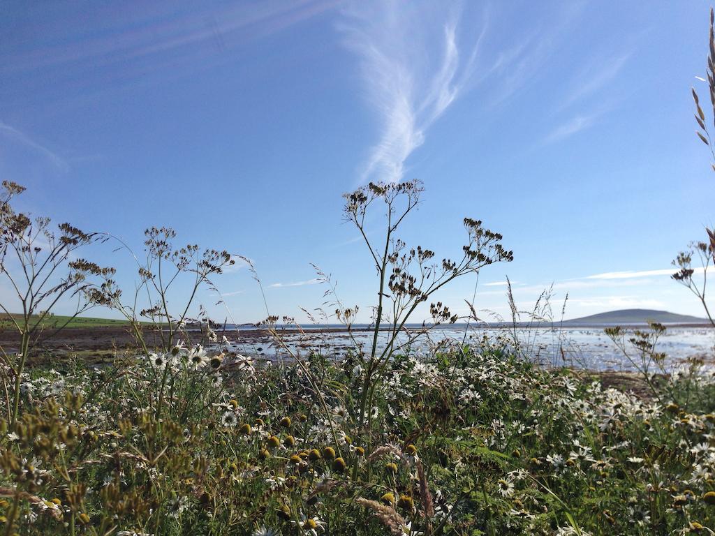 Woodwick House Bed & Breakfast Orkney Luaran gambar